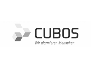 logo_cubos_textfluesterer_referenz